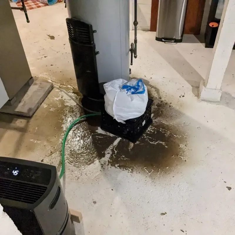 Sewage Backup Cleanup Service in Masonville, KY